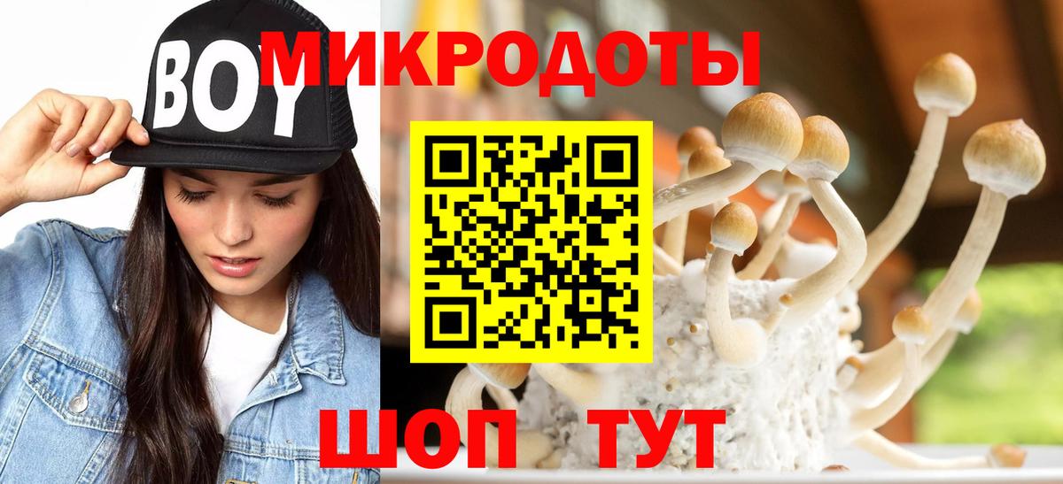 Галлюциногенные грибы мицелий Карталы